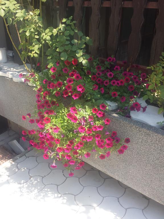Apartment A&D Pančevo Eksteriør bilde